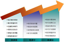 信息咨询服务 开启企业决策新视野